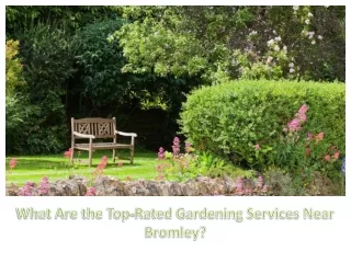 What Are the Top-Rated Gardening Services Near Bromley