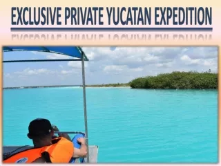 Exclusive Private Yucatan Expedition