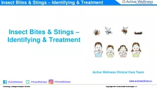 Insect Bites & Stings – Identifying & Treatment - Active Health