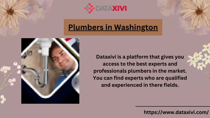 plumbers in washington