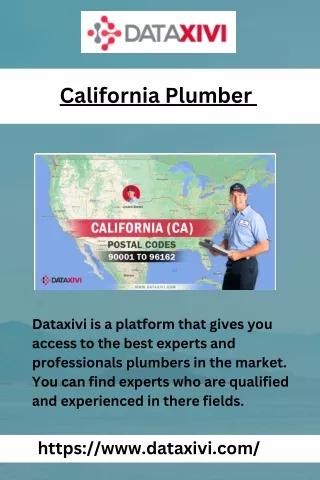 California Plumber | DataXiVi