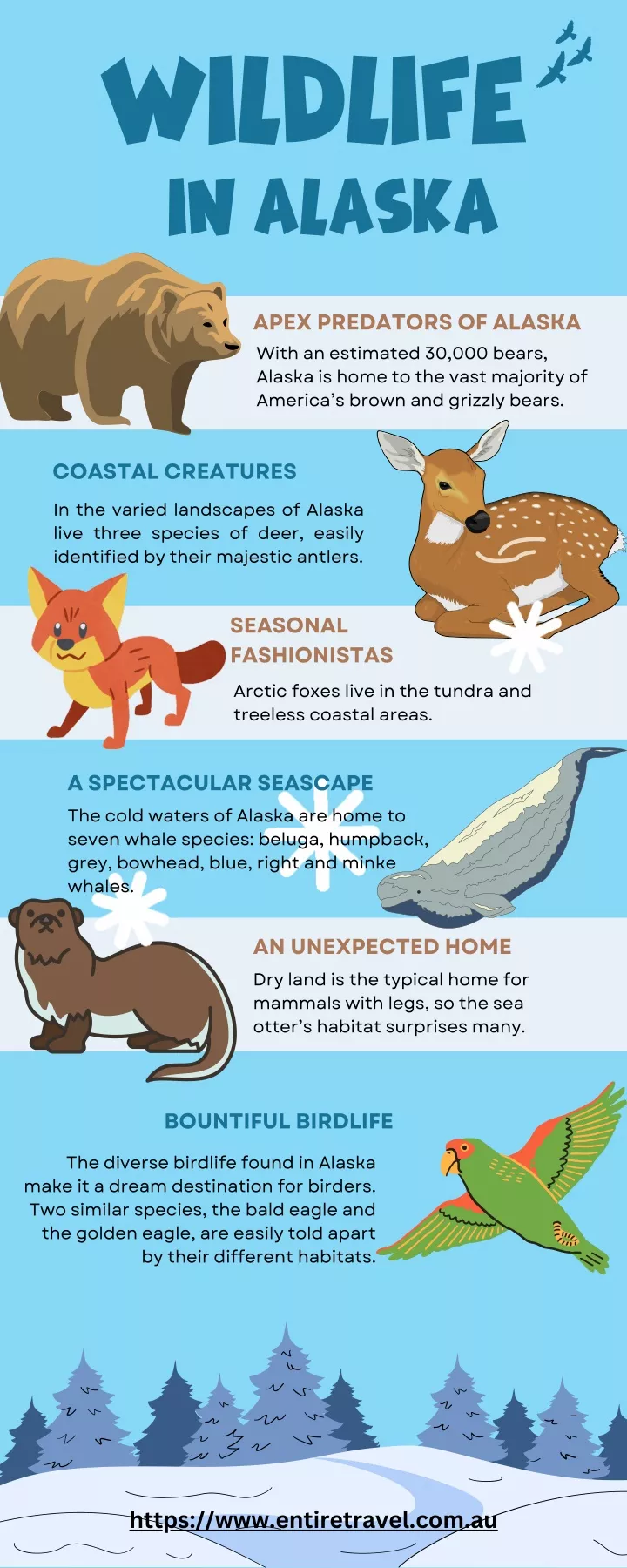 wildlife in alaska