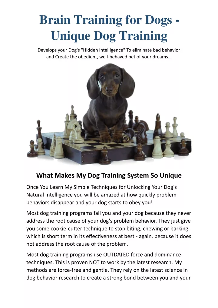 brain training for dogs unique dog training