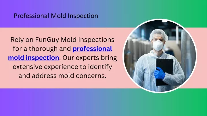 professional mold inspection