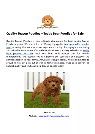 Quality Teacup Poodles for Sale – Buy a Toy Poodle Puppy in Indiana