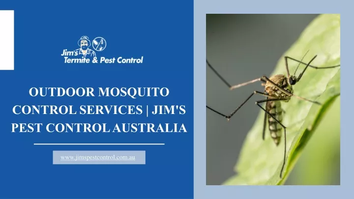 outdoor mosquito control services jim s pest