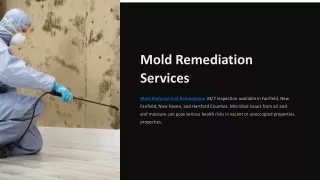 Mold Removal And Remediation