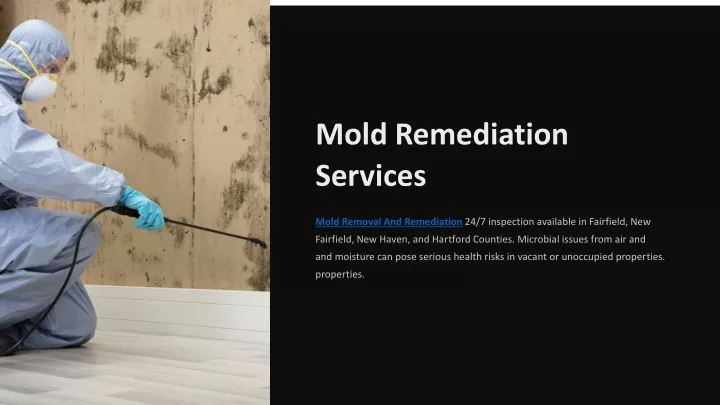 mold remediation services