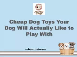 Cheap Dog Toys Your Dog Will Actually Like to Play With