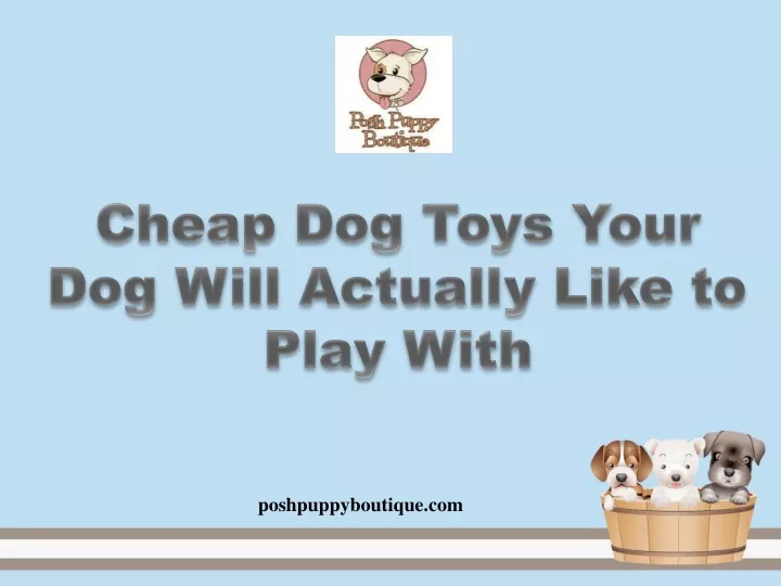 cheap dog toys your dog will actually like
