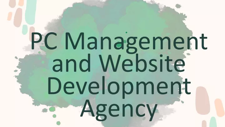 pc management and website development agency