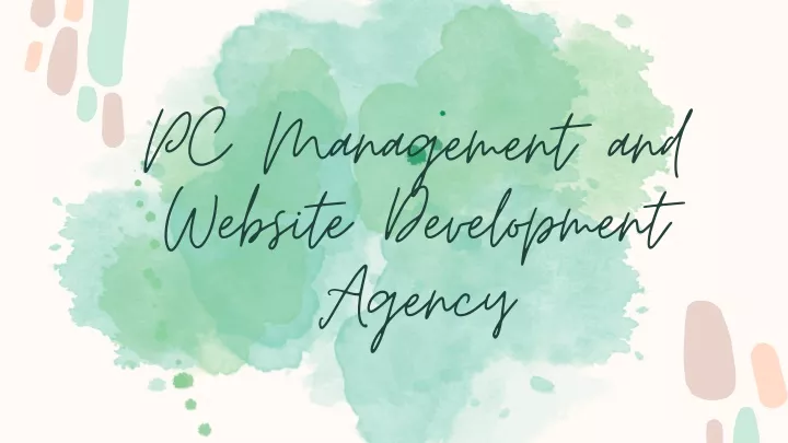 pc management and website development agency