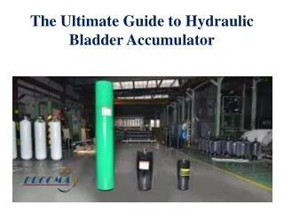 The Ultimate Guide to Hydraulic Bladder Accumulator