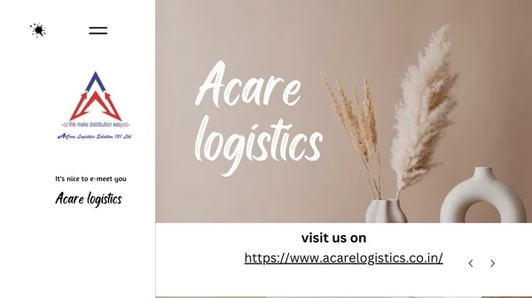 Acare Logistics - Air and Train Cargo Services Provider