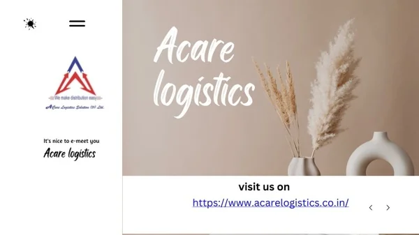 Acare Logistics - Air and Train Cargo Services Provider