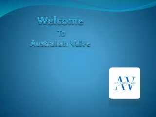 Safety Valve Supplier in Australia - Australian Valve