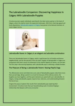 The Labradoodle partner: Find Happiness In Calgary With Labradoodle Puppies