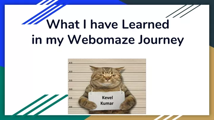 what i have learned in my webomaze journey