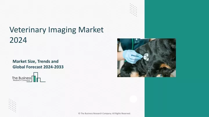 veterinary imaging market 2024
