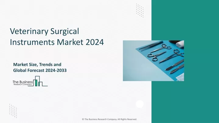 veterinary surgical instruments market 2024