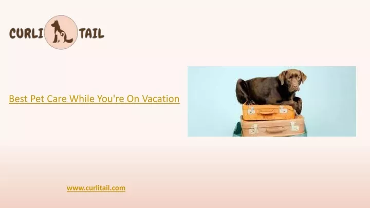 best pet care while you re on vacation