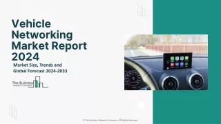 vehicle networking market report 2024