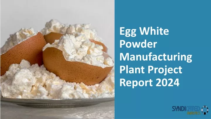 egg white powder manufacturing plant project report 2024