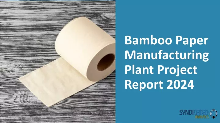 bamboo paper manufacturing plant project report 2024
