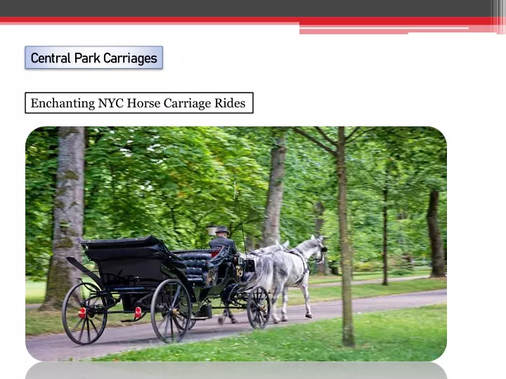 central park carriages