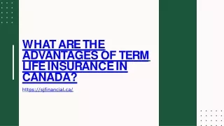 w h a t a r e t h e advantages of term