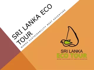 Planning the Perfect Sri Lanka Tours