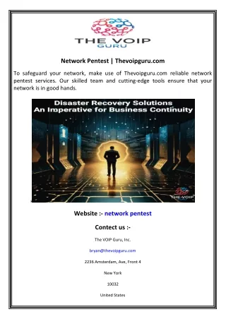 network pentest thevoipguru com