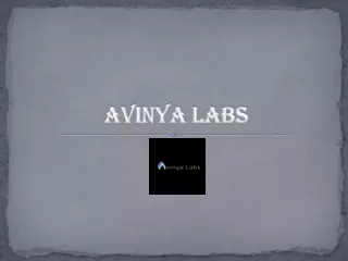 Avinya Labs: Social Media Marketing and Google Ads Agency