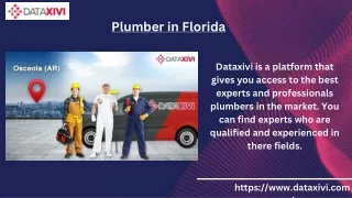 Plumber in Florida |   DataXiVi