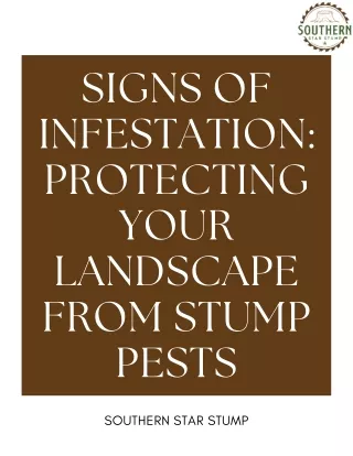 Signs of Infestation: Protecting Your Landscape from Stump Pests