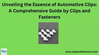 Automotive Clips
