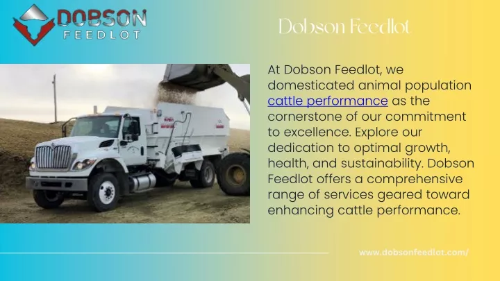 dobson feedlot