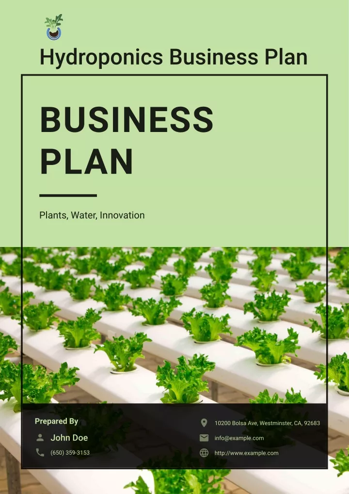 business plan for hydroponics shop