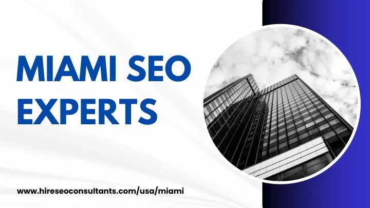 miami seo experts