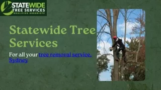 Statewide Tree Services-Tree Removal Service Sydney