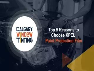 Top 5 Reasons to Choose XPEL Paint Protection Film