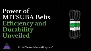 Power of MITSUBA Belts_ Efficiency and Durability Unveiled