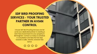 SDF Bird Proofing Services - Your Trusted Partner in Avian Control