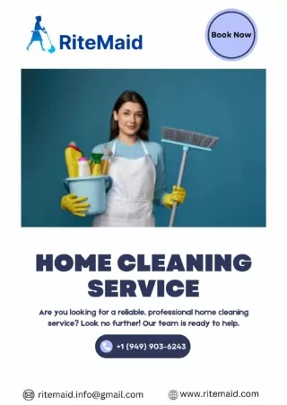 White Blue Pink Modern Minimalist Illustration Cleaning Service Flyer