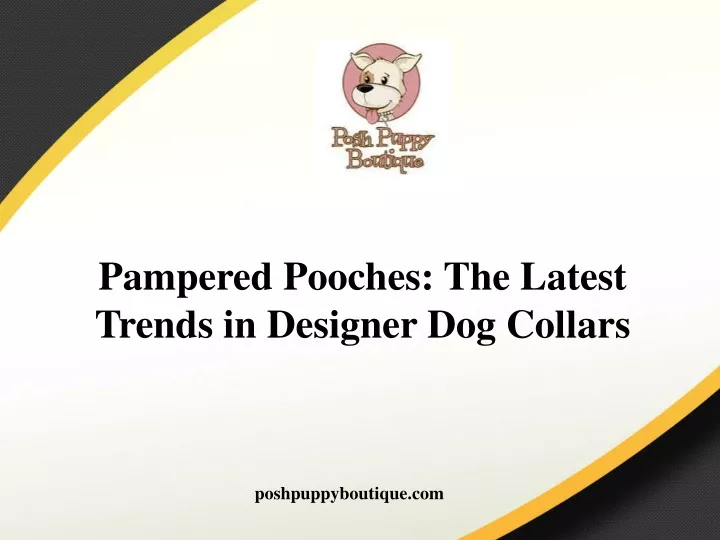 pampered pooches the latest trends in designer