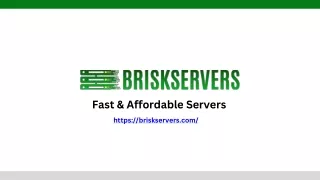 BriskServers - Your Dedicated Server Hosting Company for Superior Performance