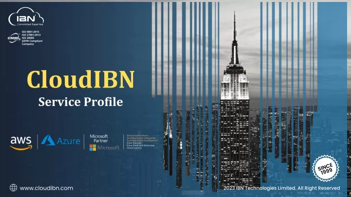 cloudibn service profile