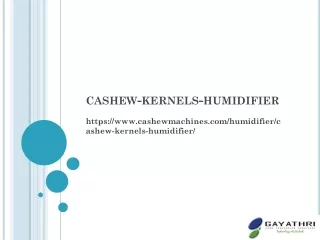 Cashew Humidifier, Cashew Kernel Humidifier, Cashew Kernels Humidifier