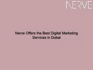 Nerve Offers the Best Digital Marketing Services in Dubai