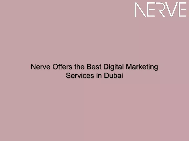 nerve offers the best digital marketing services